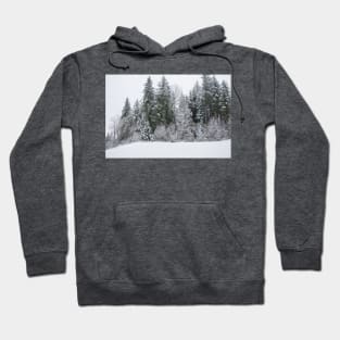 The Majestic Snow Covered Trees Hoodie